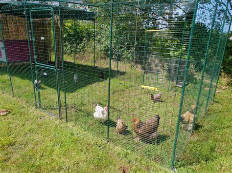 metal chicken run enclosure|large outdoor chicken enclosure.